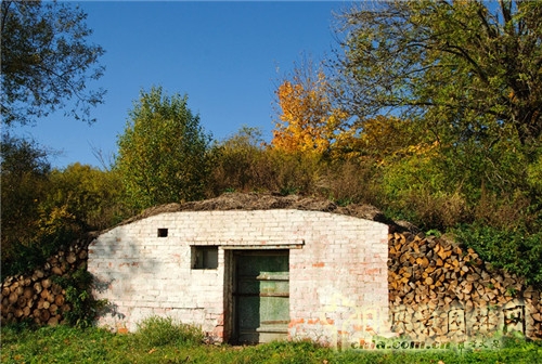 雅斯納亞?波良納