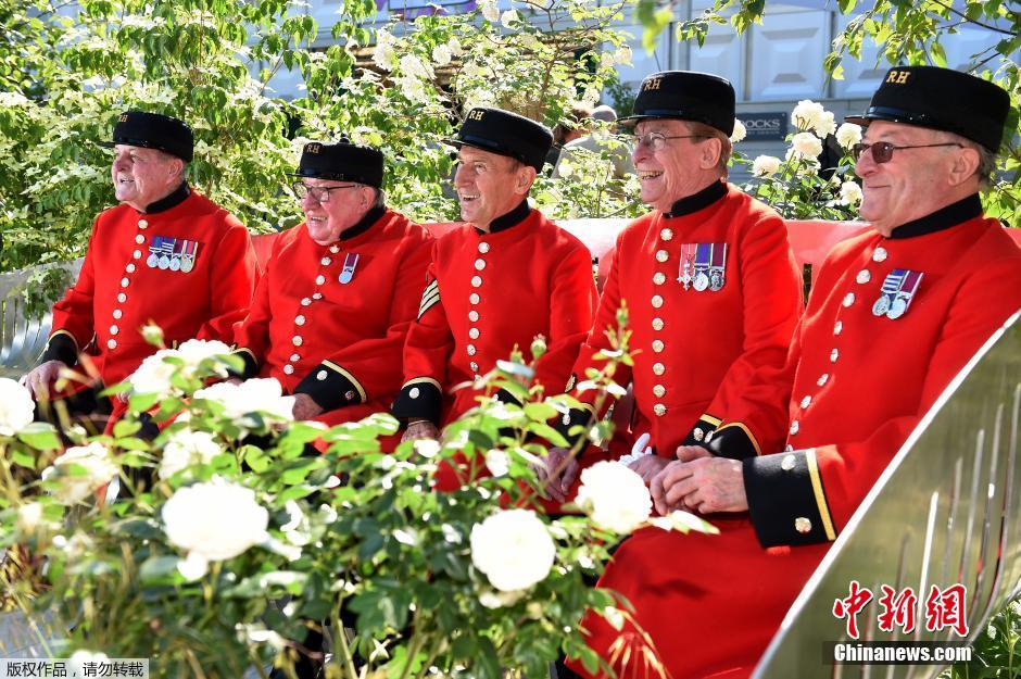 切爾西花展 花展 英國皇家園藝學會