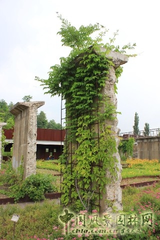 西首爾濱湖公園