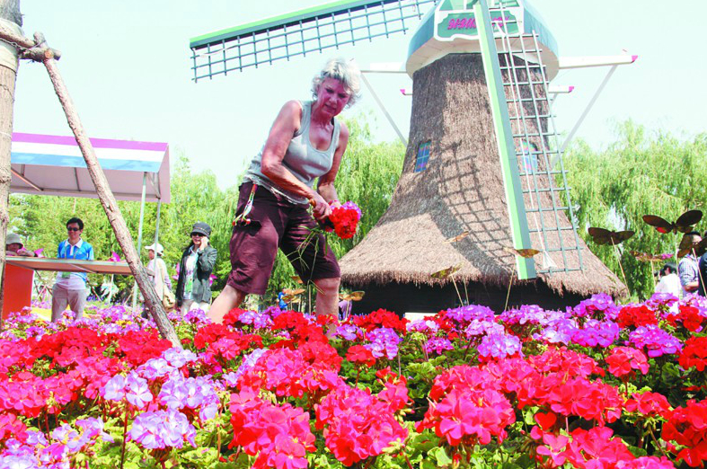 青島世園會荷蘭園藝