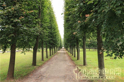 阿爾漢格爾斯克莊園