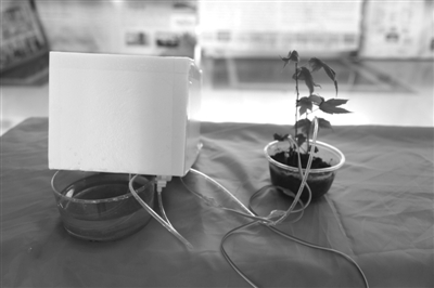 東北林大學生發明