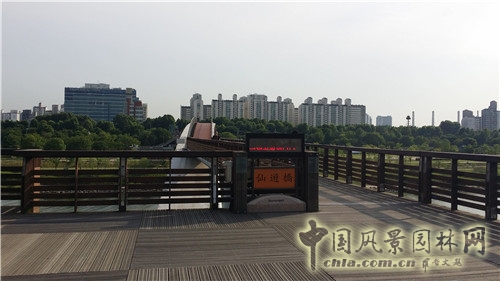 韓國仙游島公園