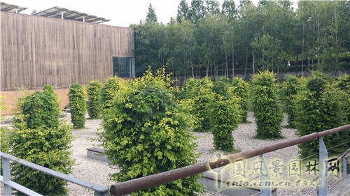 韓國仙游島公園