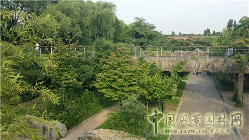 韓國仙游島公園