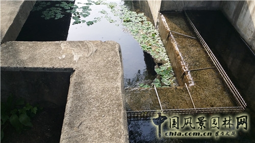 韓國仙游島公園