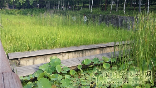 韓國仙游島公園