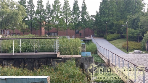 韓國仙游島公園