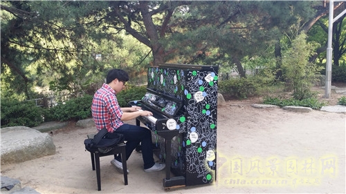 韓國仙游島公園