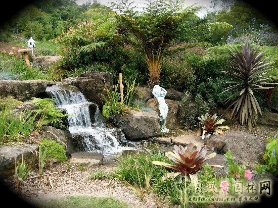 莫斯科總植物園