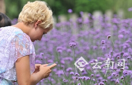 昆明：大觀公園