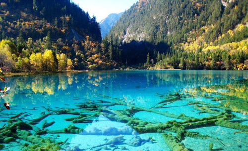 生態旅游 旅游攻略 旅游景點