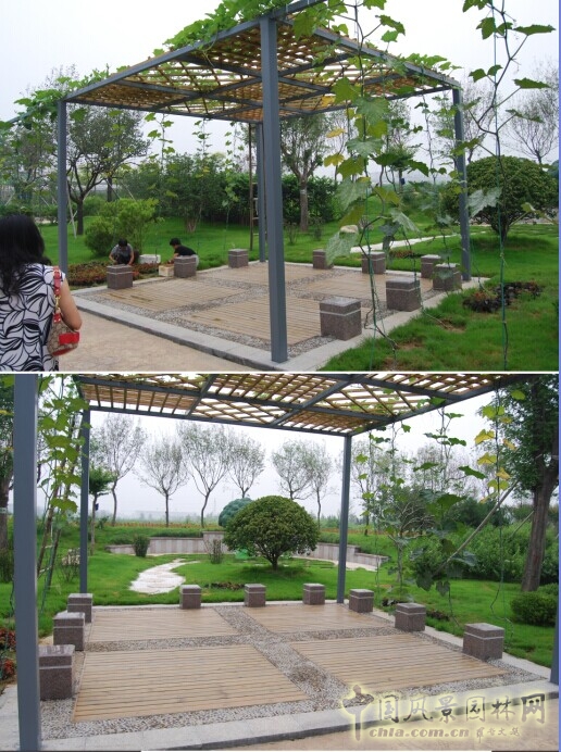 泰安花樣年華 景觀設計 農業生態園