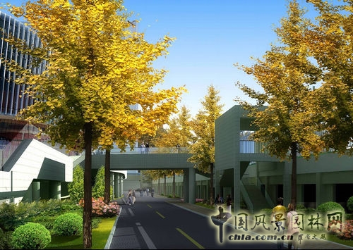 山東大學 景觀設計 環境設計 景觀方案