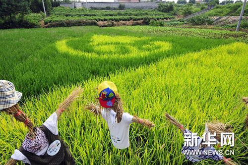 由彩色水稻形成的水稻漫畫與稻草人相印成趣