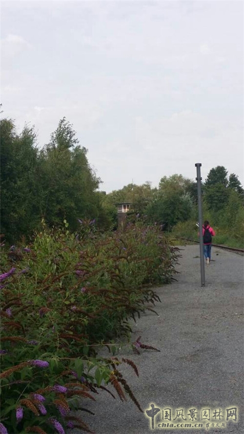 埃森的關稅同盟煤礦工業區