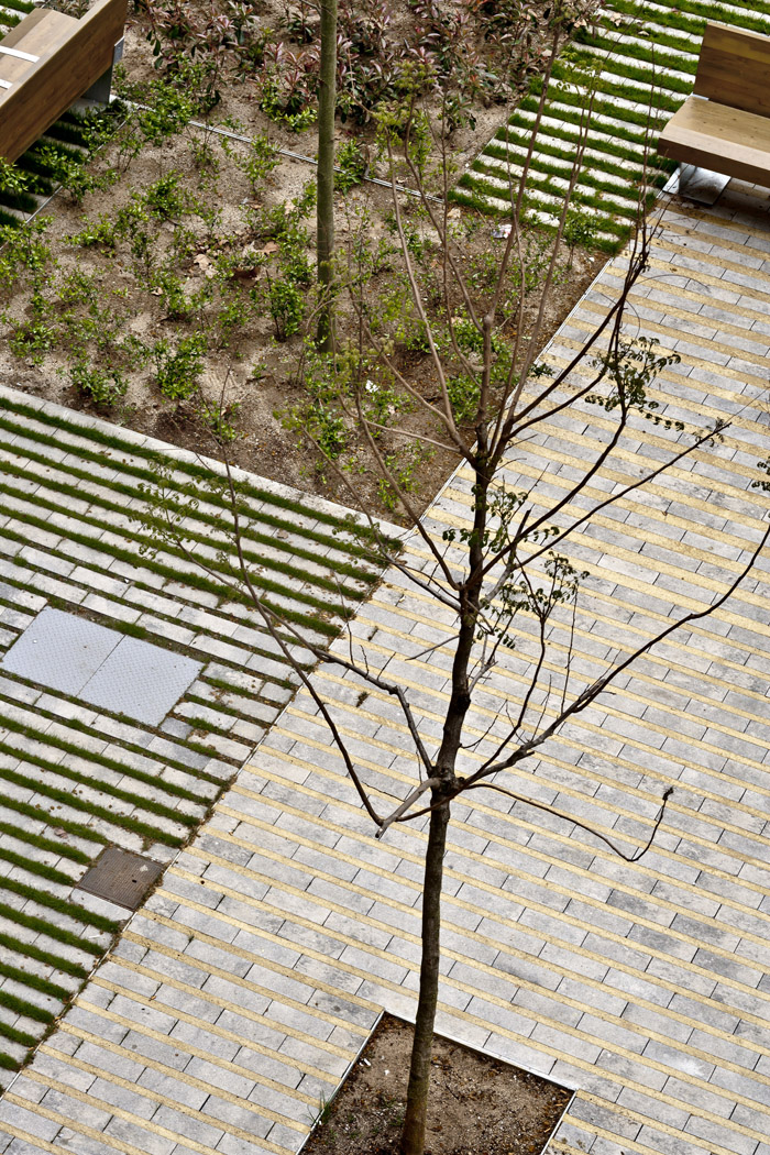 西班牙巴塞羅那圣約翰林蔭大道