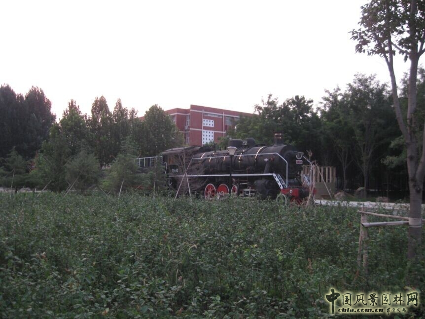 景觀設計 景觀方案 施工圖設計 山東大學