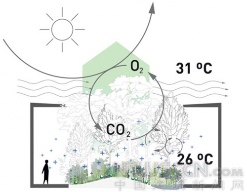 展館促進光合作用