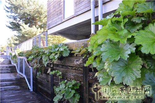 法國南泰爾市Chemin公園