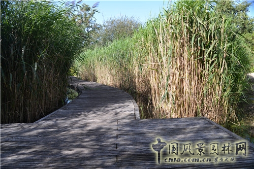 法國南泰爾市Chemin公園