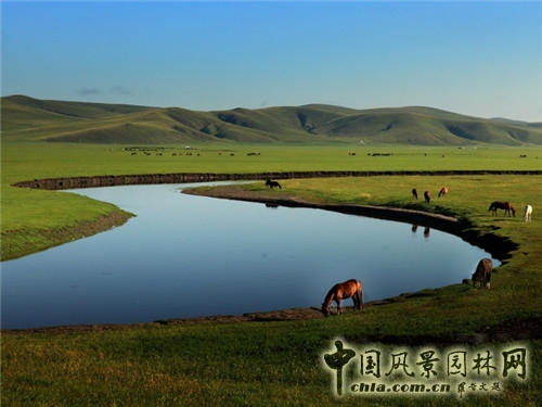 呼倫貝爾大草原