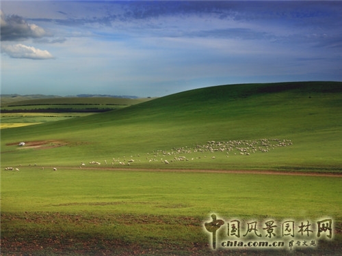 呼倫貝爾大草原