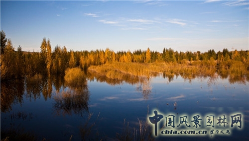 鄂爾多斯大草原