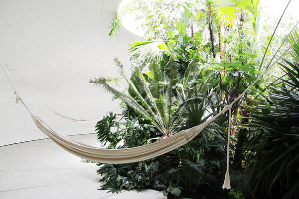 隱藏在巨大草坡內(nèi)的熱帶雨林風(fēng)情