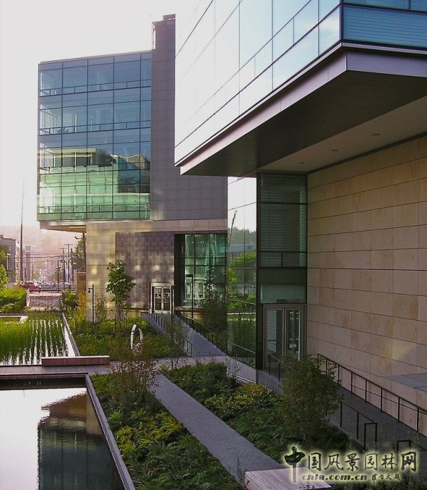 比爾和梅琳達·蓋茨基金會