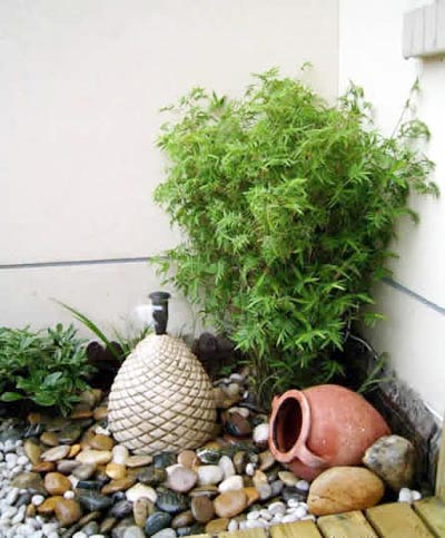 向陽而生的草木 帶你享受陽臺花園燦爛時光