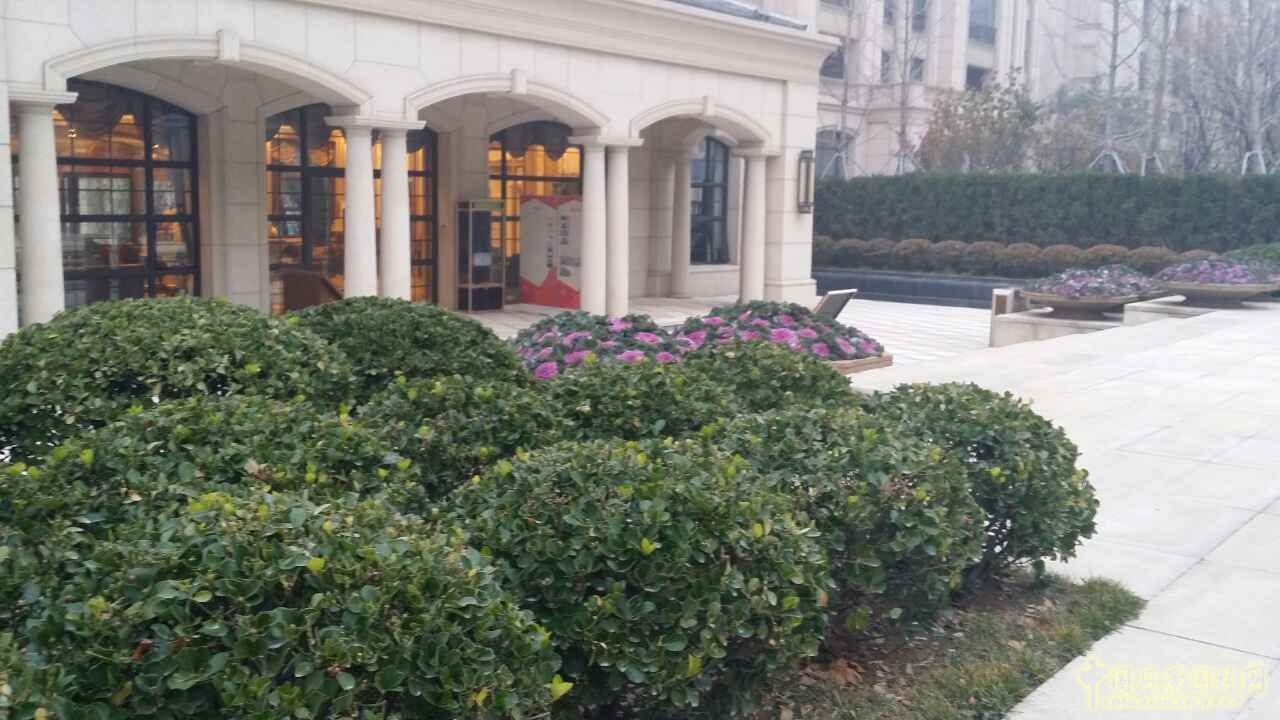 園冶杯 住宅景觀獎(jiǎng) 遠(yuǎn)洋鉆石灣 景觀園林