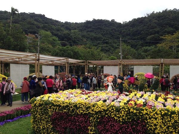 臺北士林官邸菊展參觀人次突破36萬。