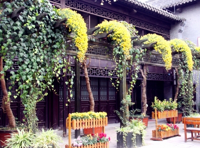 個園花局里立體綠化