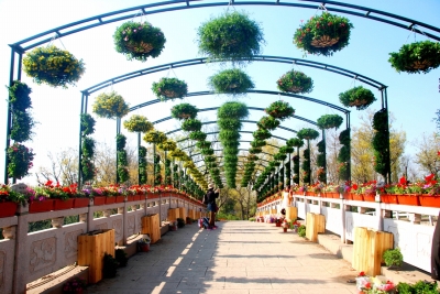 瘦西湖新楊莊橋