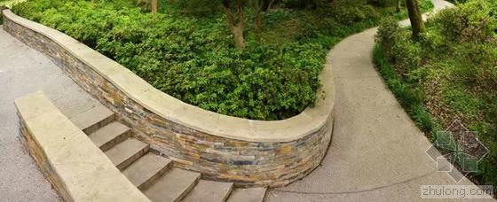 英國國家景觀獎 王向榮 槭樹杜鵑園 杭州植物園