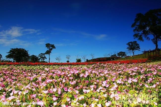 大溪花海農(nóng)場