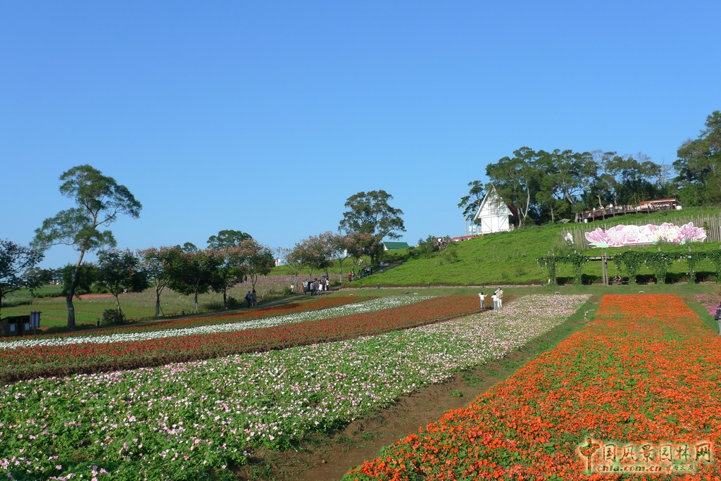 大溪花海農場