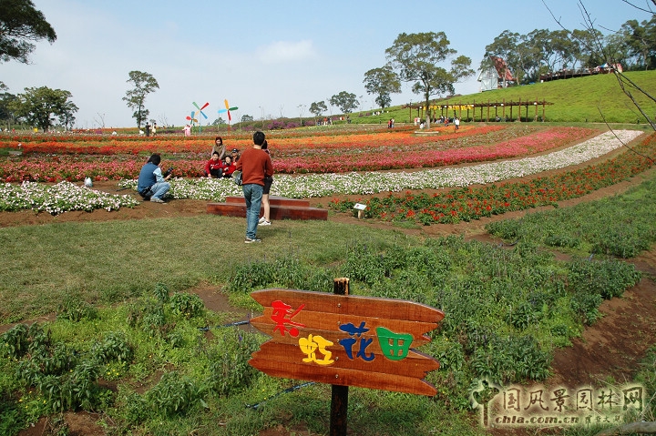 大溪花海農場