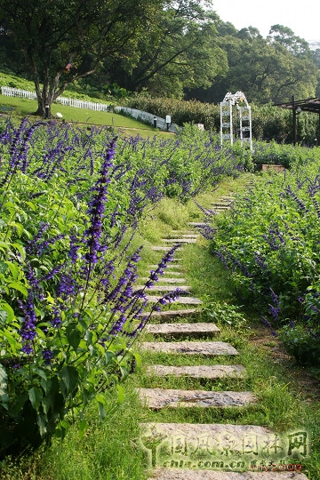 大溪花海農(nóng)場(chǎng)