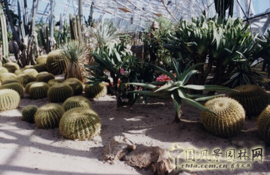 R-land北京源樹景觀作品——主題設(shè)計(jì)類