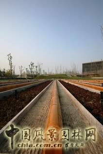 R-land北京源樹景觀作品——主題設計類