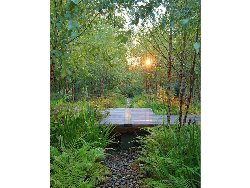 雨水花園設(shè)計(jì)