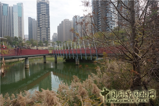 秋紅谷生態公園