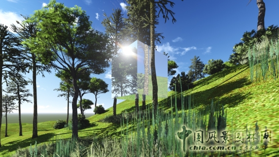 隱匿的樹屋效果圖