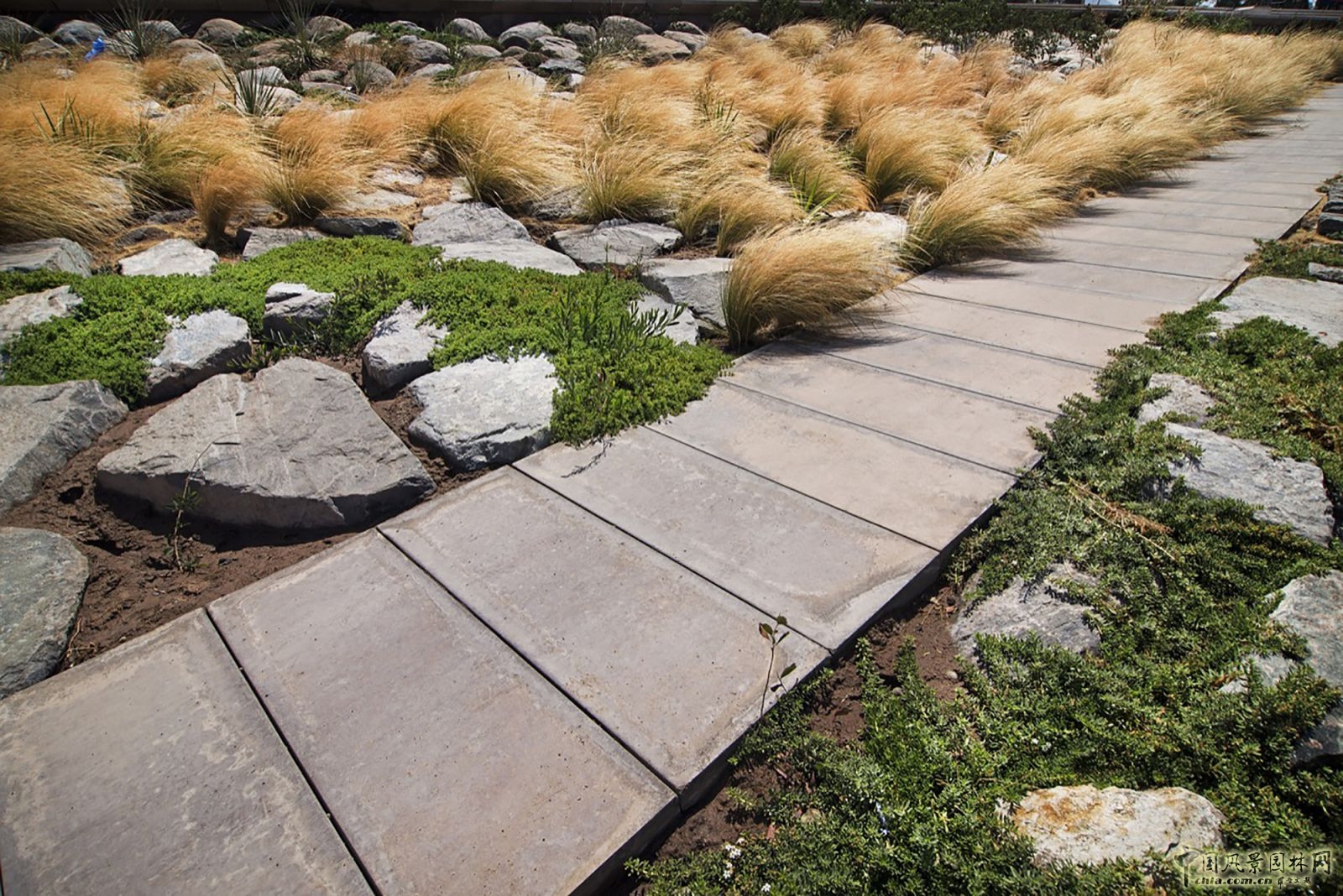 智利科皮亞波市Kaukari城市公園景觀設計