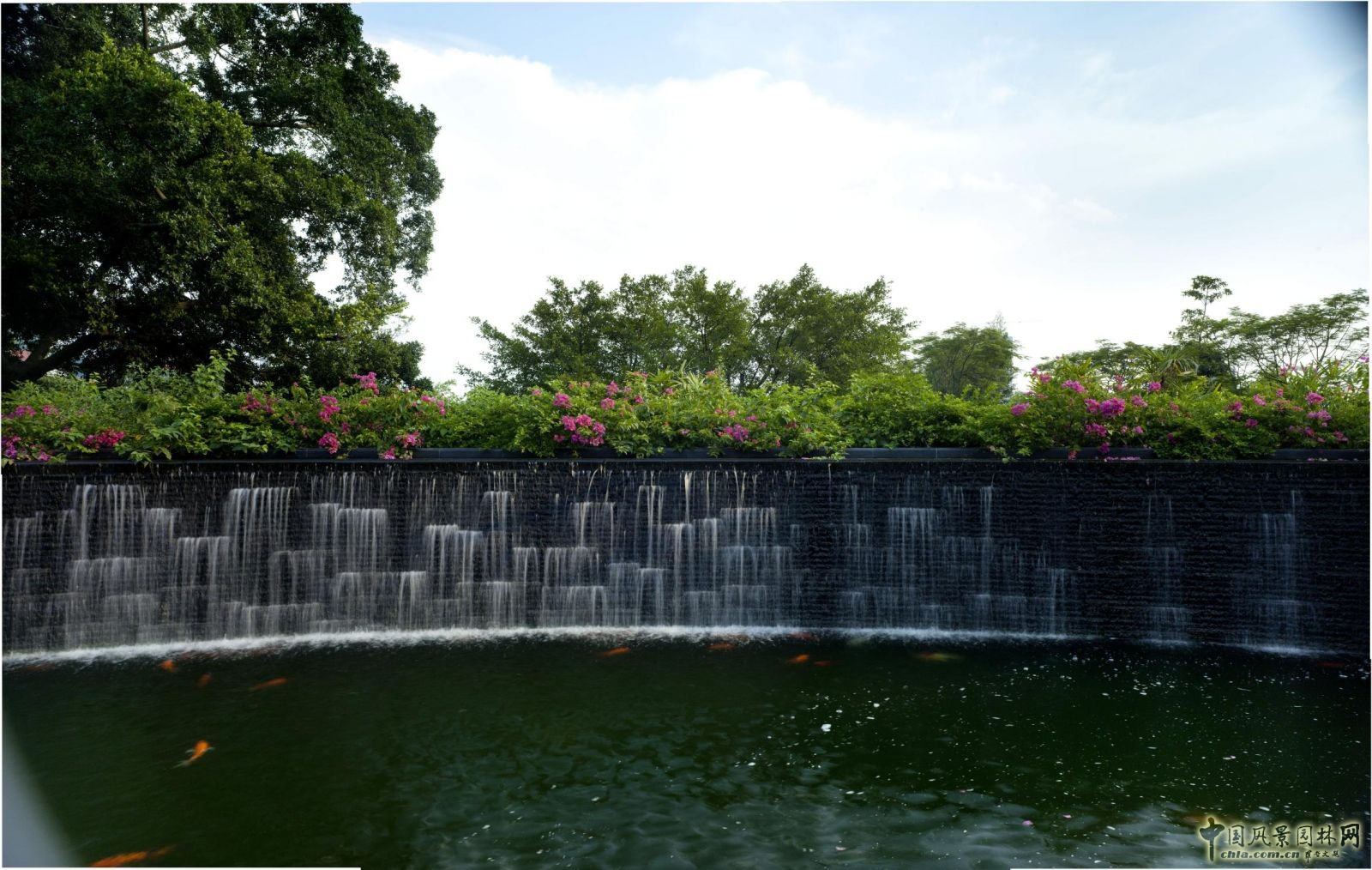 精品園林獎金獎東正頤年園