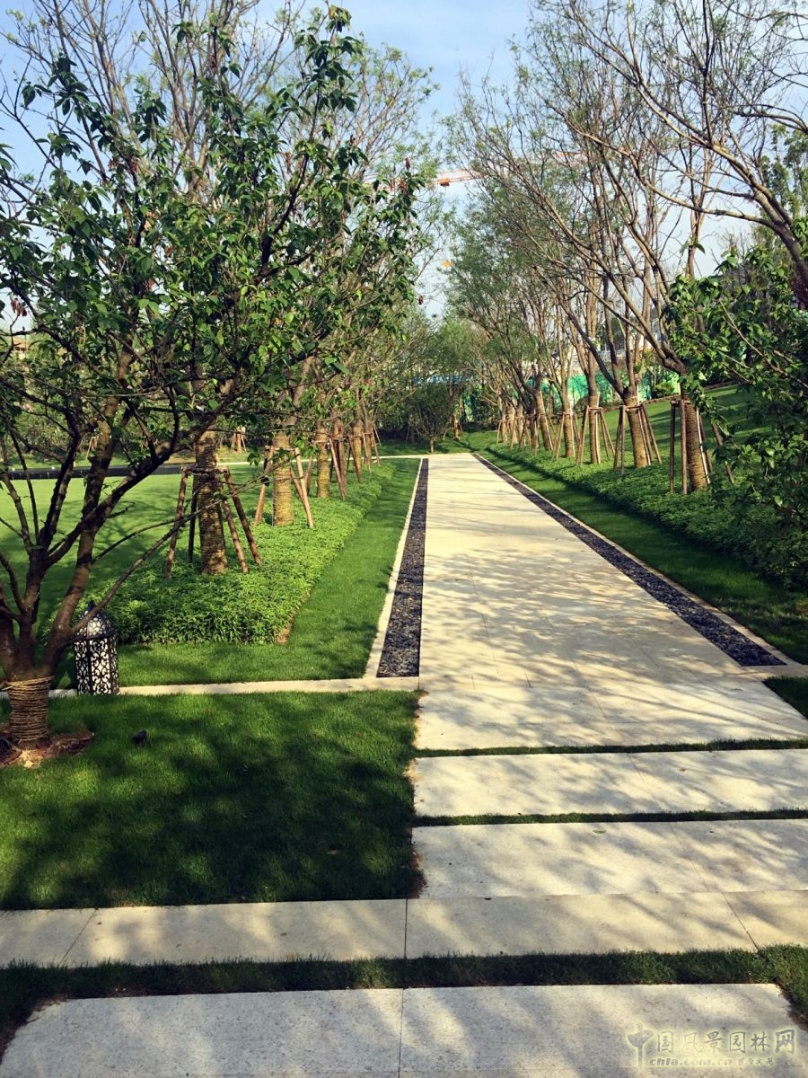 重慶緯圖項目展播:商城?綠谷云溪