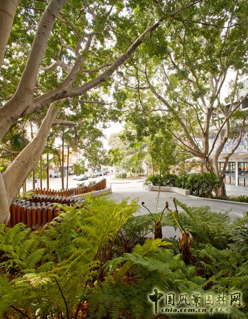 澳大利亞悉尼納皮爾大街公共空間景觀設(shè)計(jì)