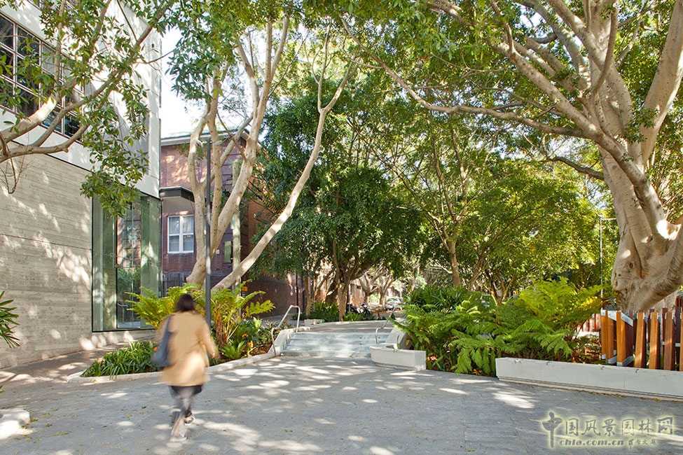 澳大利亞悉尼納皮爾大街公共空間景觀設計